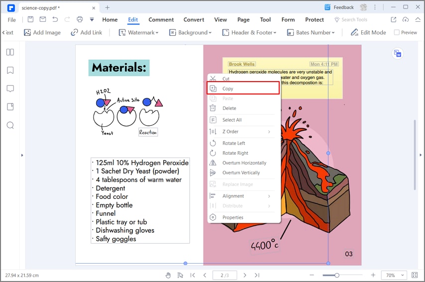 как скопировать подпись из pdf в word