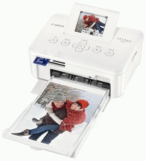 принтер мфу CANON SELPHY CP800 ремонт принтера CANON SELPHY CP800