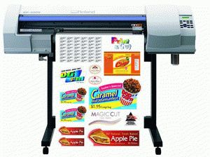 ремонт принтера ROLAND VERSACAMM SP-300V